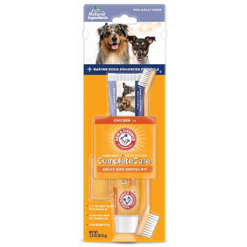 slide 1 of 3, Arm & Hammer Complete Care Adult Dog Dental Kit - 2.5oz/2ct, 2 ct; 2.5 oz