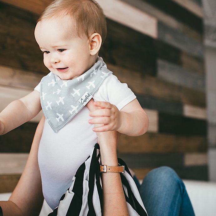 slide 2 of 5, Copper Pearl Cruise Bandana Bibs, 4 ct