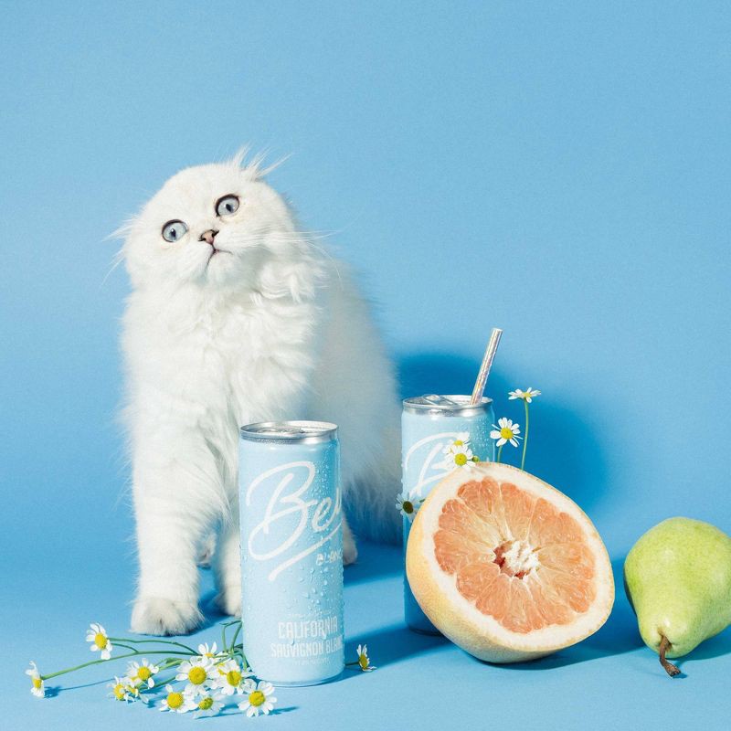 slide 3 of 6, Bev California Sauvignon Blanc White Wine - 4pk/250ml Cans, 4 ct; 250 ml