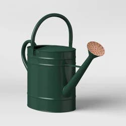 Large Steel Iron Watering Can Green - Smith & Hawken