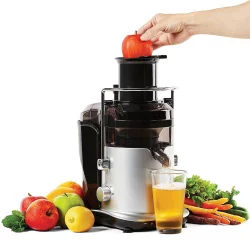 As Seen on TV PowerXL Self Cleaning Juicer - Silver