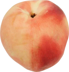 Oi Son Family. Usa Organic White Peaches