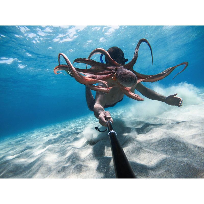 GoPro HERO9 Streaming Action Camera Black (CHDHX901) 1 ct Shipt