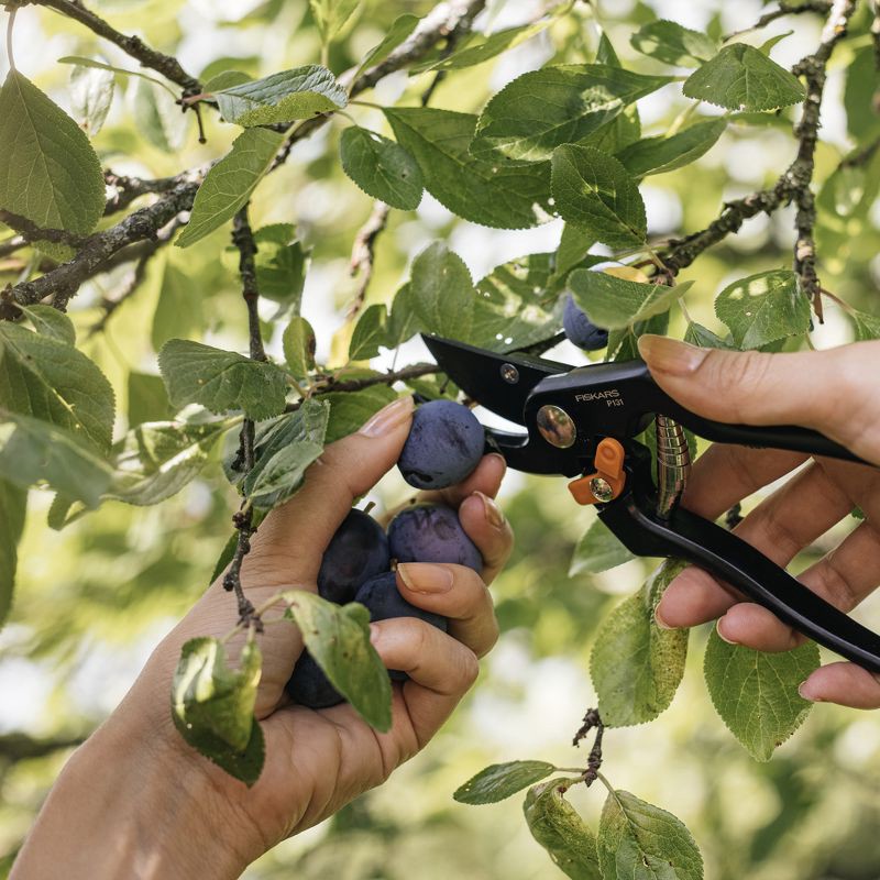 slide 5 of 8, Fiskars P131 Bypass Pruner, 1 ct