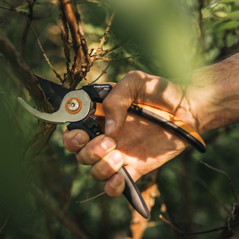 slide 6 of 8, Fiskars P341 Bypass Pruner: Lightweight Garden Shears, FiberComp Handle, Softgrip, 10.5" Height, 1 ct
