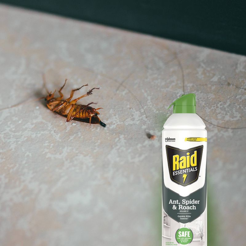 slide 8 of 14, Raid Essentials Ant, Spider & Roach Killer 27 Aerosol - 10 oz, 10 oz