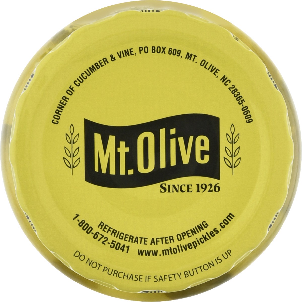 slide 6 of 13, Mt. Olive Kosher Dill Spears Pickle 16 fl oz Jar, 16 oz