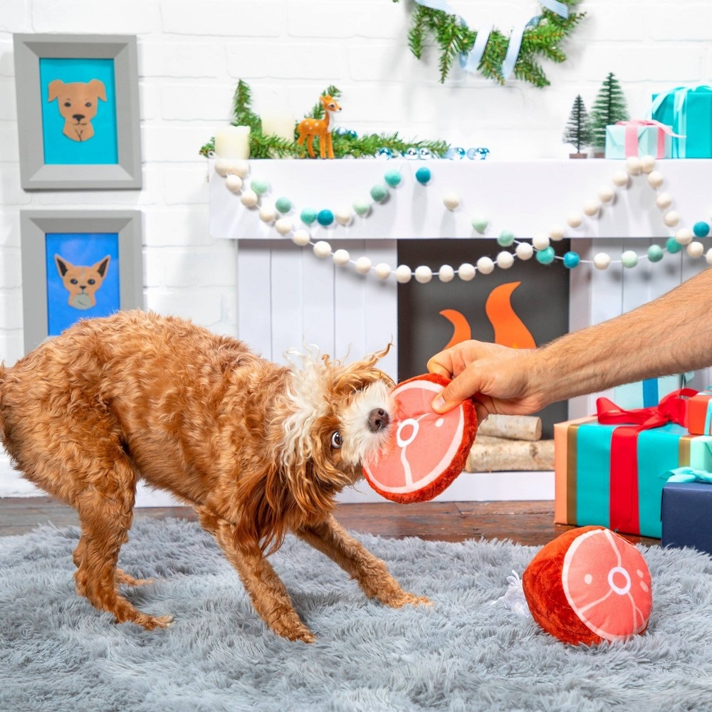 BARK Christmas Ham Dog Toy Wham Bam Ham 1 ct Shipt
