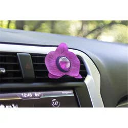 ARM & HAMMER Blossom Vent Clip Air Freshner