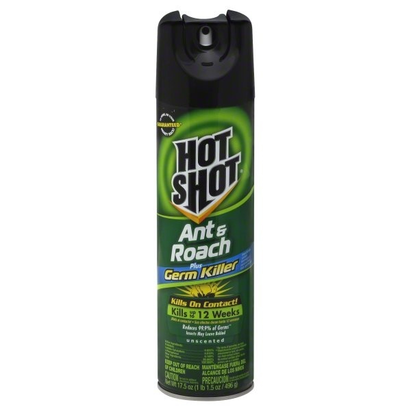 slide 1 of 1, Hot Shot Ant & Roach Killer Spray Unscented Plus Germ Killer, 17.5 oz