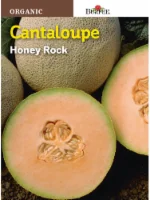 Burpee Honey Rock Organic Cantaloupe Seeds - Yellow