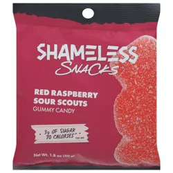 Shameless Snacks Red Raspberry Sour Scouts Gummy Candy 1.8 oz