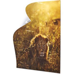 slide 7 of 9, Command Damage-Free Hanging Poster Strips, 12 ct