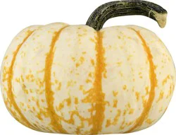 Bay Baby Produce Tiger Stripe Pumpkin 1 ea