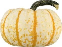 Bay Baby Produce Tiger Stripe Pumpkin 1 ea
