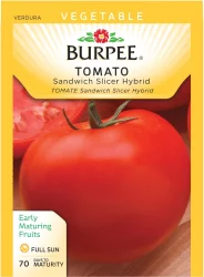Burpee Sandwich Slicer Hybrid Tomato Seeds