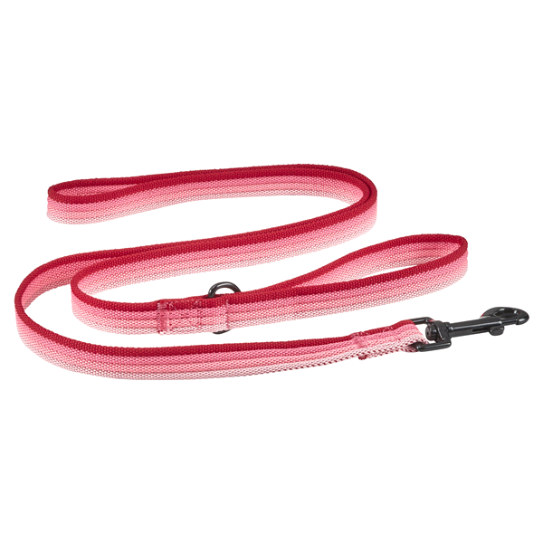 slide 1 of 3, Meijer Pet Leash Bright Pink Triple Grid, 1 ct