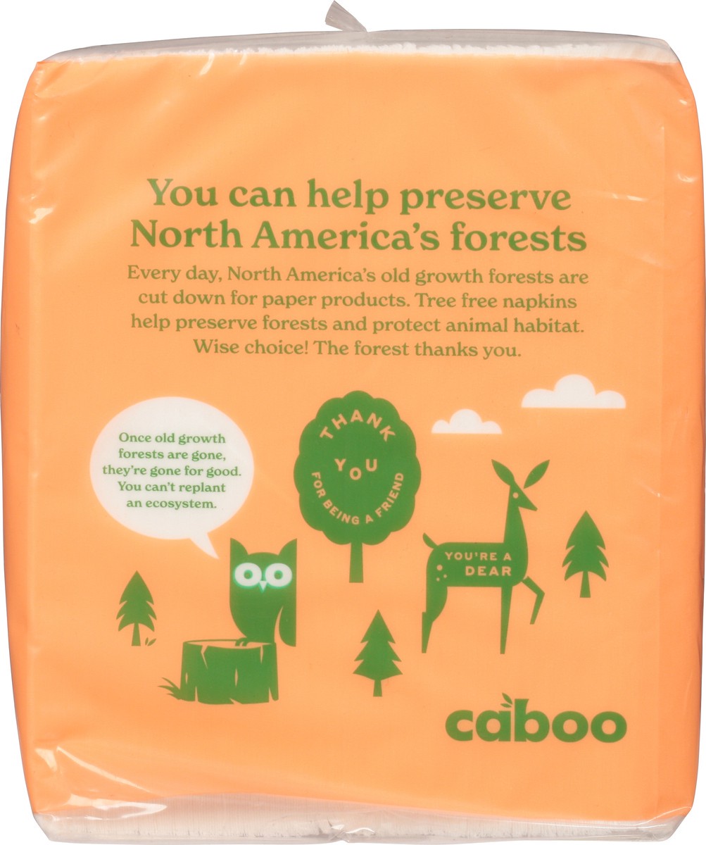 slide 9 of 9, Caboo Tree Free Square Lunch Napkins 250 ea, 250 ct