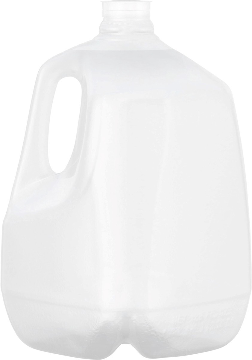 slide 4 of 6, ZEPHYRHILLS Brand 100% Natural Spring Water, 1-gallon plastic jug, 1 g