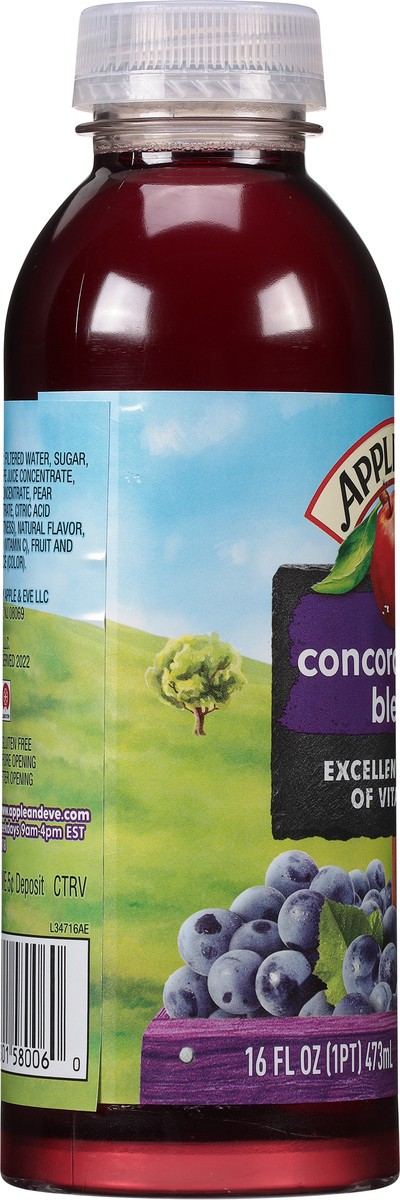 slide 6 of 9, Apple & Eve Concord Grape Blend Juice - 16 fl oz, 16 fl oz