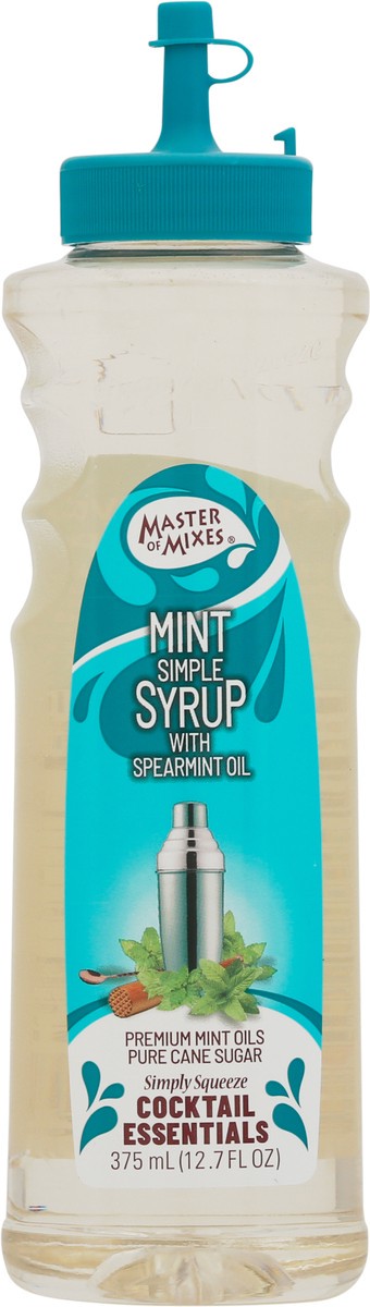 slide 5 of 14, Master of Mixes Mint Syrup, 375 ml