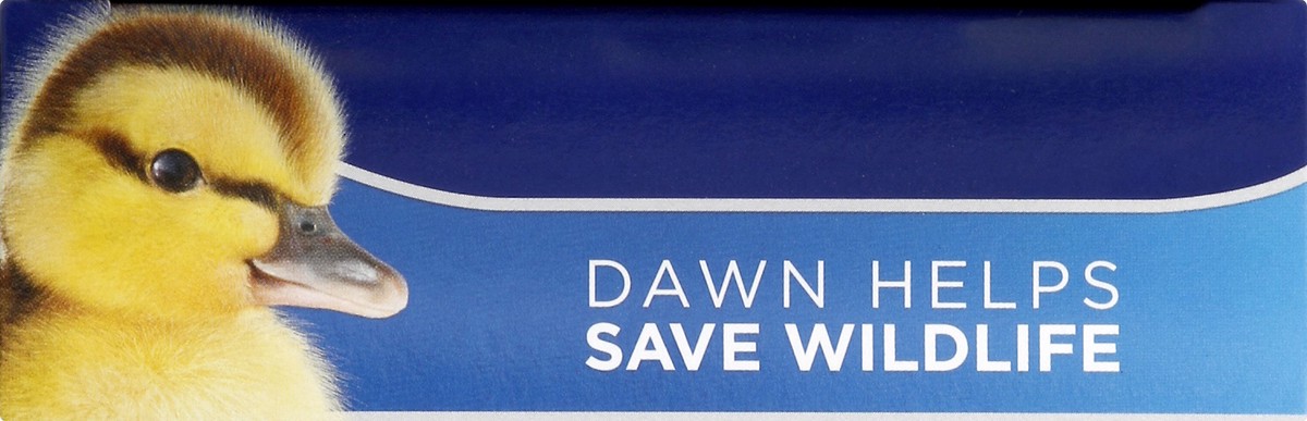 slide 5 of 8, Dawn Scrubber 1 ea, 1 ct