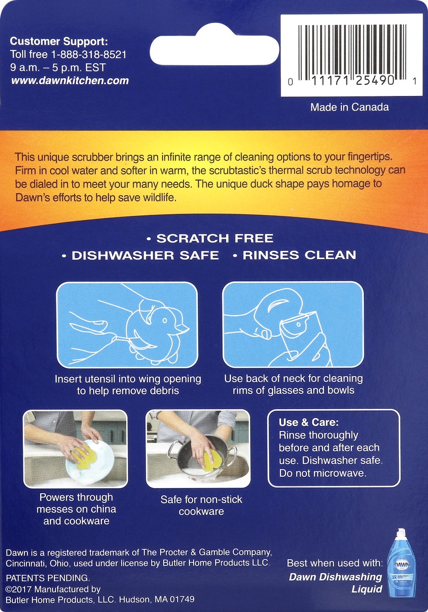 slide 7 of 8, Dawn Scrubber 1 ea, 1 ct