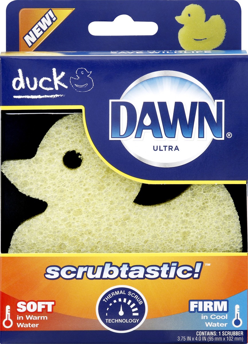 slide 1 of 8, Dawn Scrubber 1 ea, 1 ct