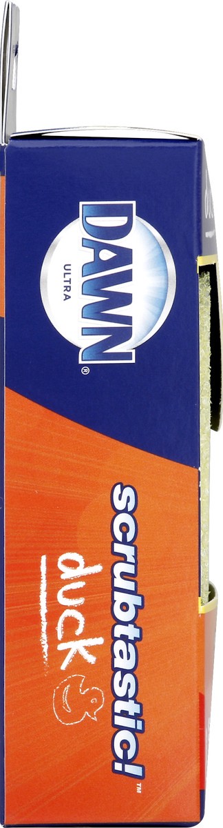 slide 3 of 8, Dawn Scrubber 1 ea, 1 ct