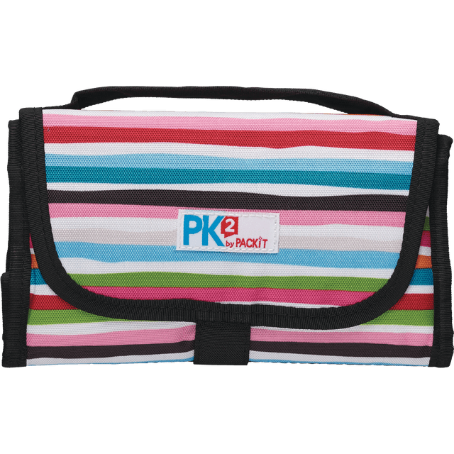 slide 1 of 1, PackIt Brush Stripes Lunch Sack, 1 ct