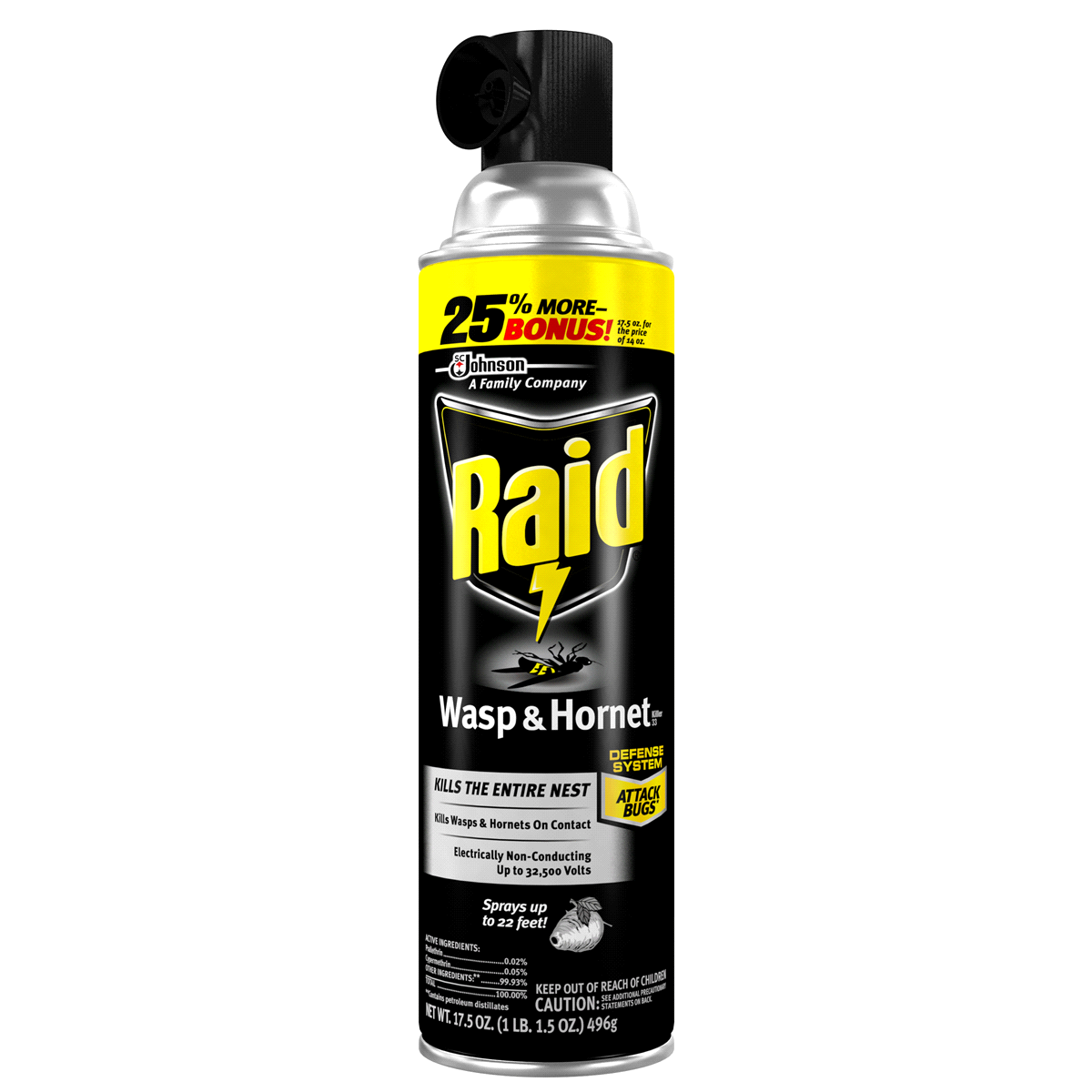 slide 1 of 29, Raid Wasp And Hornet Insecticide Spray, 17.5 oz
