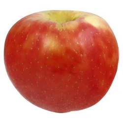 Organic Jazz Apple