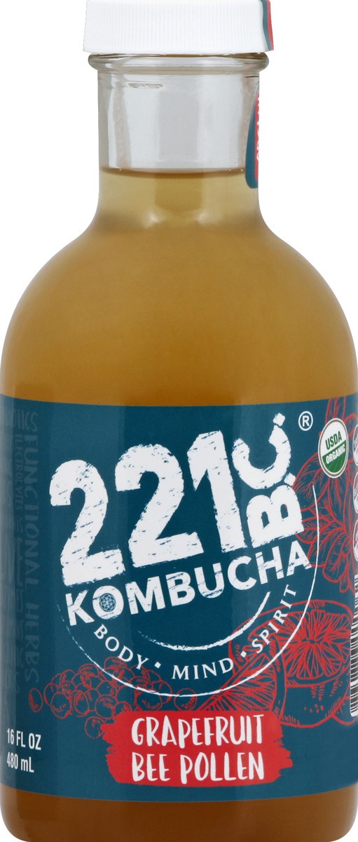 slide 1 of 8, Kombucha 221 B.C. Kombucha - 16 oz, 16 oz