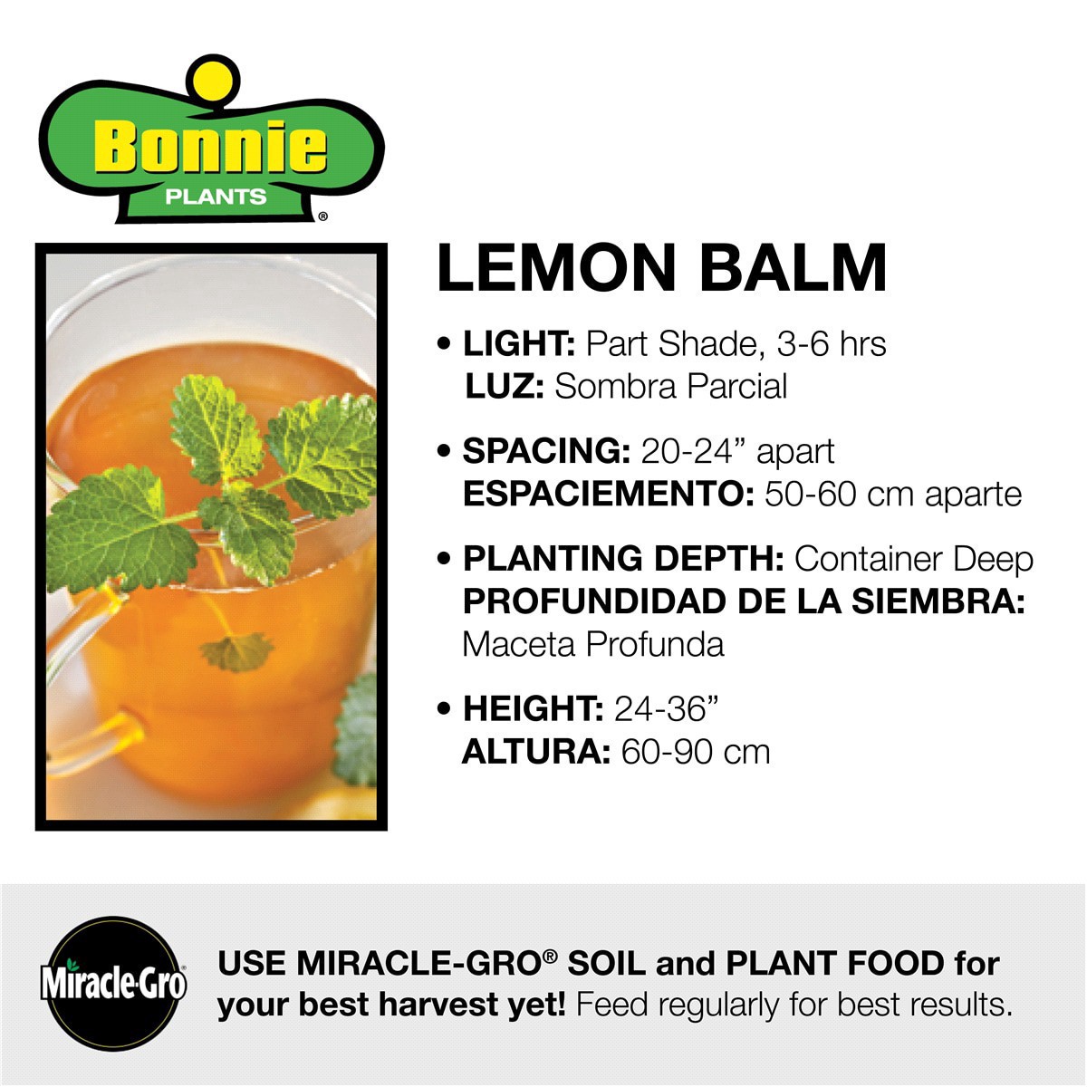 slide 7 of 9, Bonnie Plants  Lemon Balm, 19.3 oz