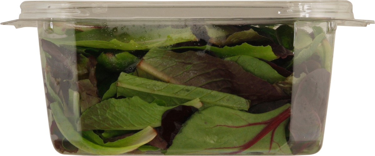 slide 10 of 13, Sun Harvest Organic Baby Spring Mix, 5 oz
