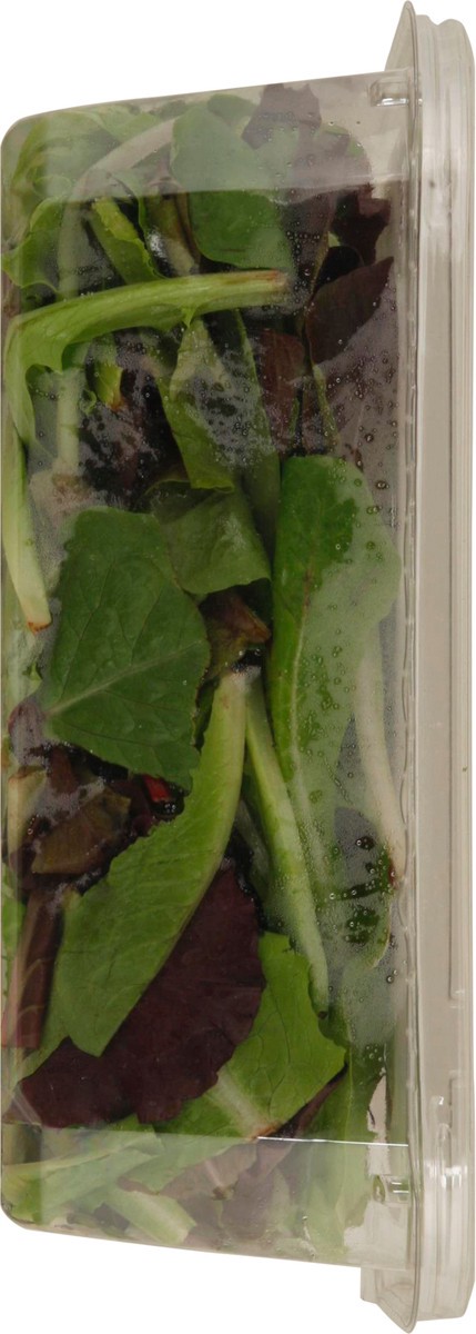 slide 9 of 13, Sun Harvest Organic Baby Spring Mix, 5 oz