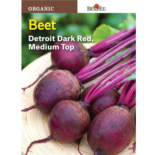 slide 1 of 1, Burpee Beet Detroit Dark Red Medium Top Seeds, 1 ct