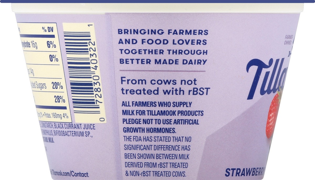 slide 6 of 8, Tillamook Yogurt 5.3 oz, 5.3 oz