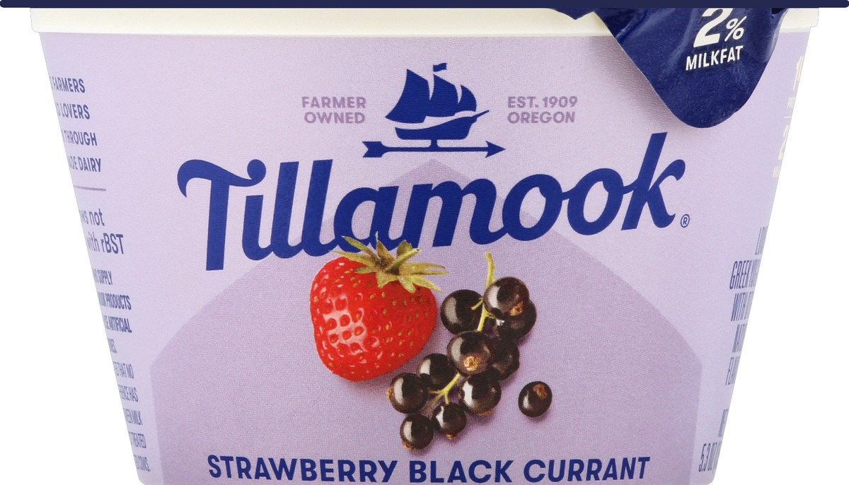 slide 1 of 8, Tillamook Yogurt 5.3 oz, 5.3 oz