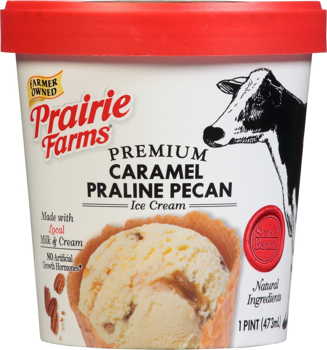 slide 10 of 12, Prairie Farms Premium Caramel Praline Pecan Ice Cream 1 pt CupTub, 1 pint