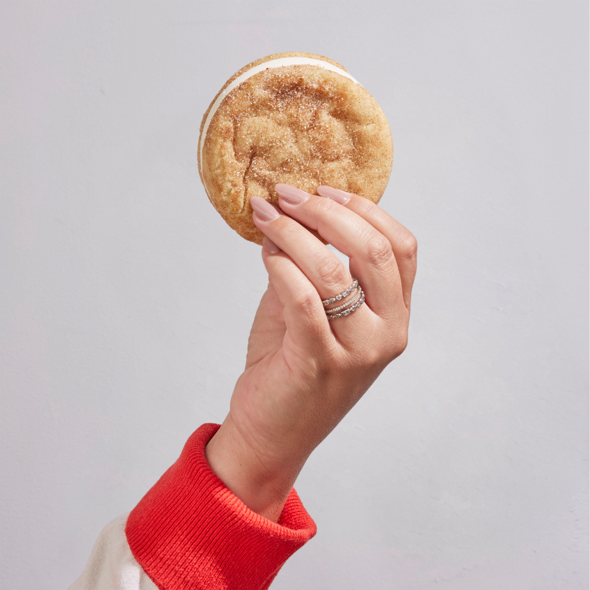slide 14 of 17, Thelma's Snickerdoodle Ice Cream Sandwich 4 Pack, 4 ct