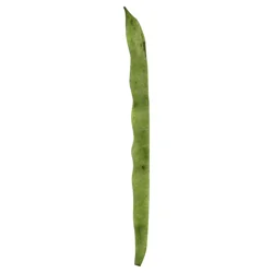 Beans Pole