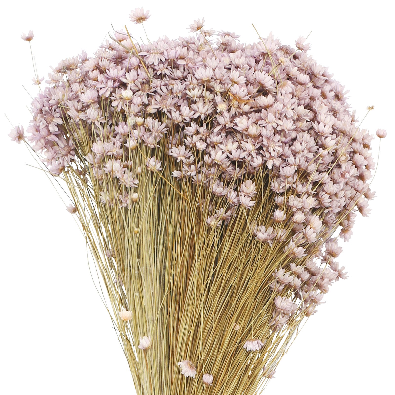 slide 2 of 2, 13" Purple Campo Flowers By Ashland, 13 in