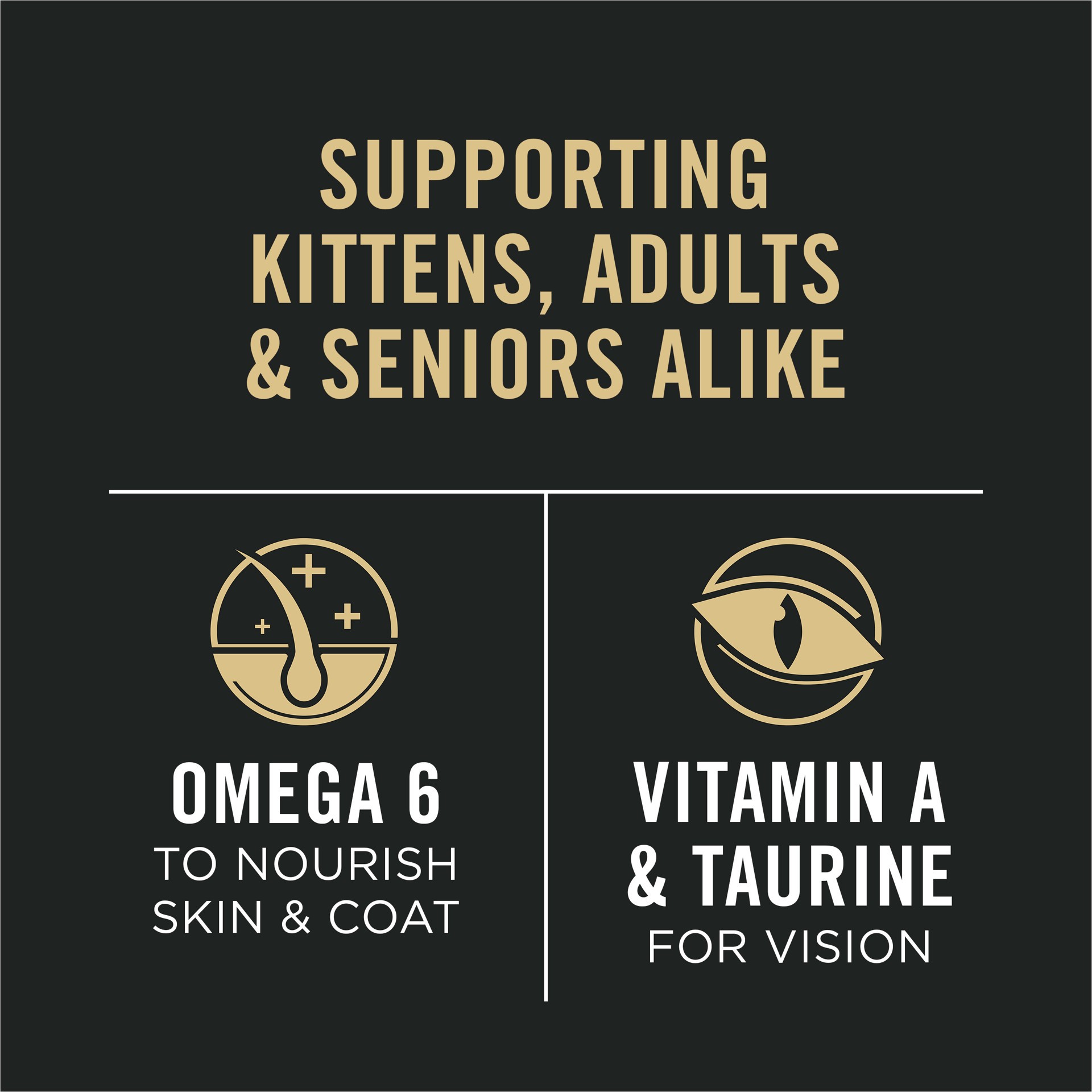 slide 9 of 9, Purina Pro Plan High Protein Wet Cat Food All Life Stages Chicken Pate Classic Entree, 3 oz