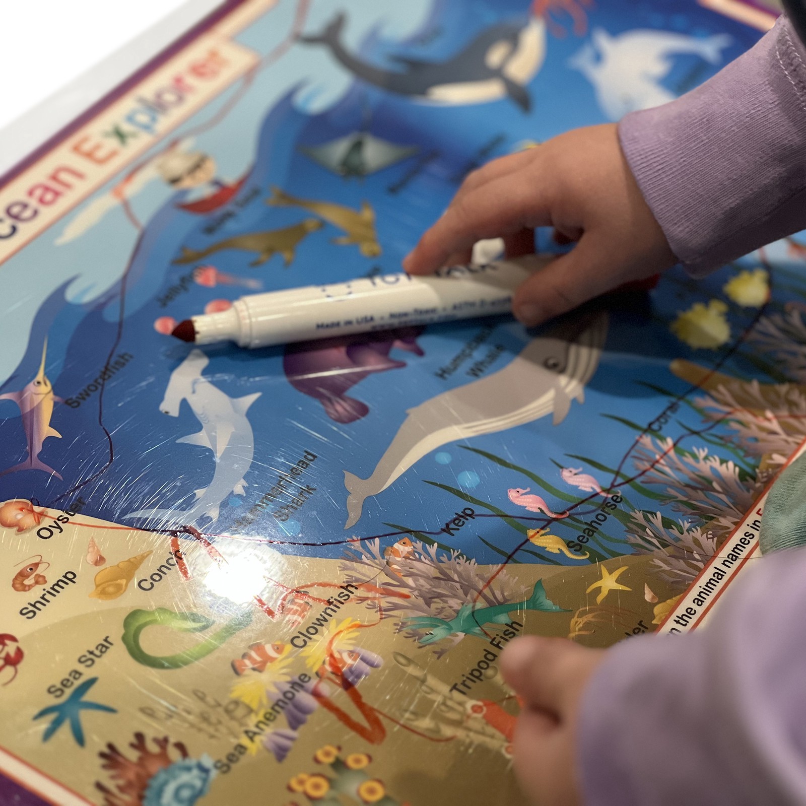 slide 4 of 5, Tot Talk Ocean Explorer Placemat, 17.5 in x 11.5 in