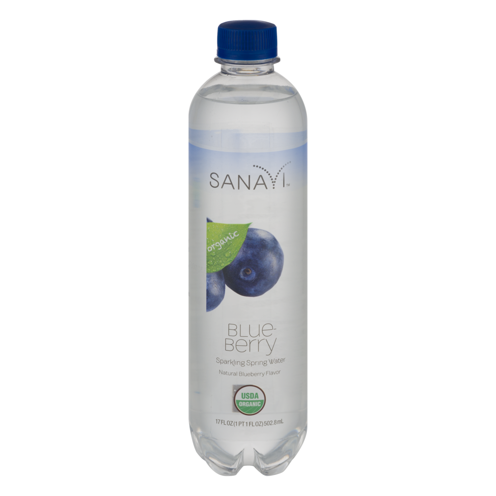 slide 1 of 1, Sanavi Organic Blueberry Sparkling Spring Water - 17 oz, 17 oz