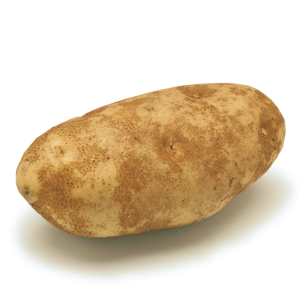 slide 1 of 1, Russet Potato, 1 ct