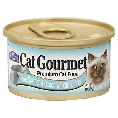 slide 1 of 1, Hill Country Fare Cat Gourmet Premium Cat Food Flaked Salmon and Ocean Whitefish Dinner, 3 oz