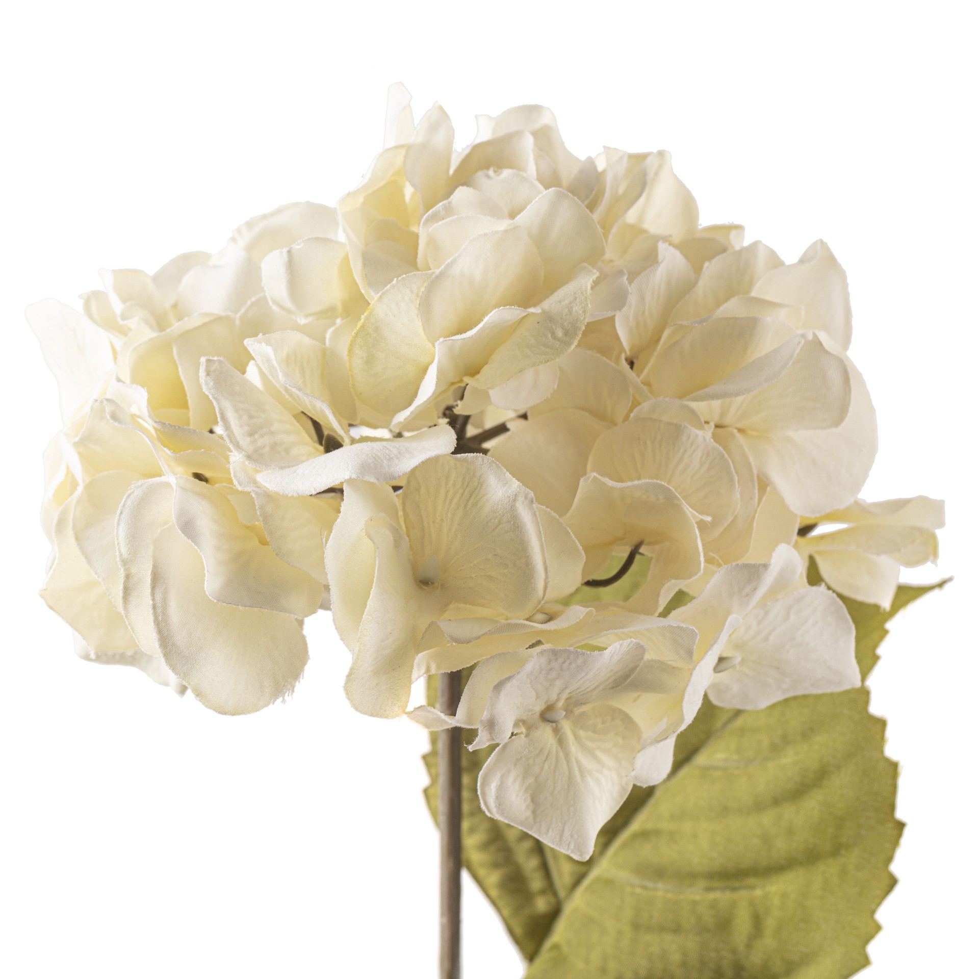 slide 3 of 3, Cream Hydrangea Stem By Ashland, 28 in
