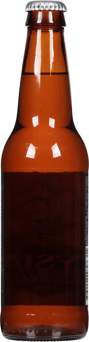 slide 6 of 9, Elysian Space Dust IPA Craft Beer 12 fl oz Bottle, 12 fl oz